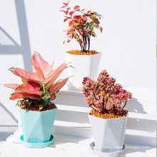 Nouvelle arrivée petit blanc bleu bon marché pots petits pots de fleurs en plastique pot de jardinière succulent avec plateau